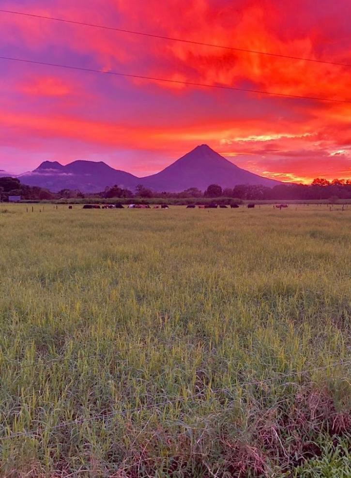 Befox Adventure Otel La Fortuna Dış mekan fotoğraf