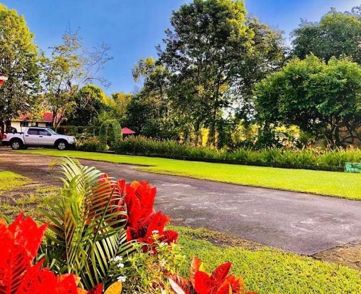 Befox Adventure Otel La Fortuna Dış mekan fotoğraf