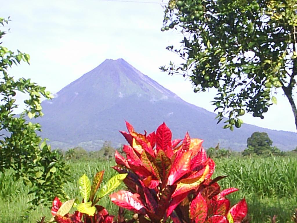 Befox Adventure Otel La Fortuna Dış mekan fotoğraf