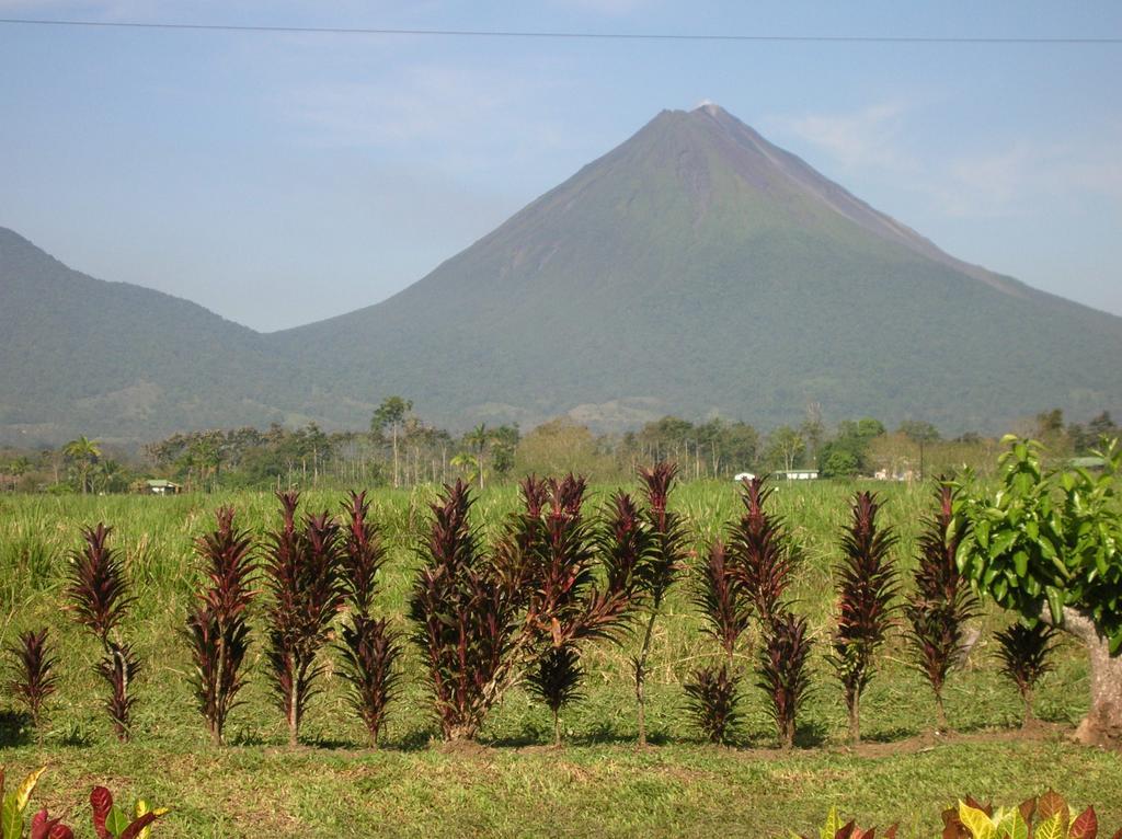 Befox Adventure Otel La Fortuna Dış mekan fotoğraf